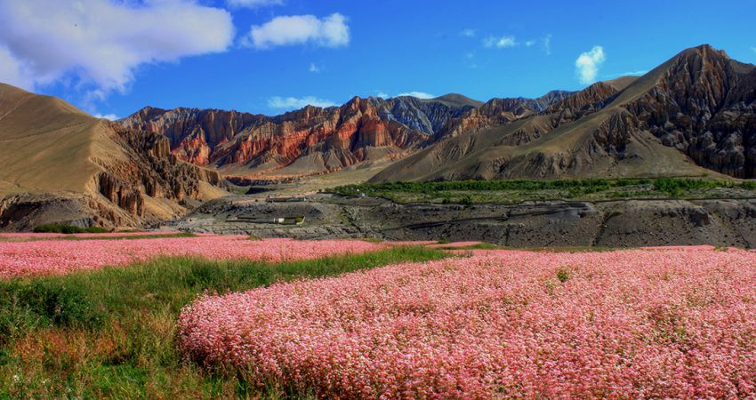 Upper Mustang